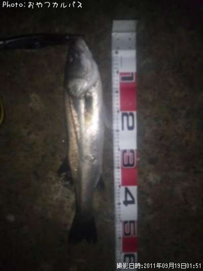 �����Х�