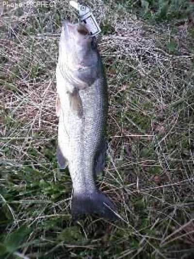 �֥�å��Х�