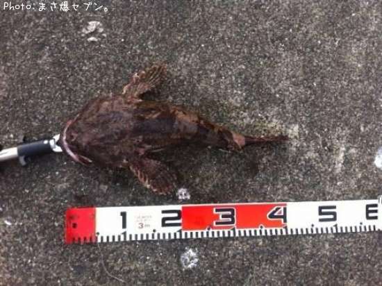 ���ॷ������