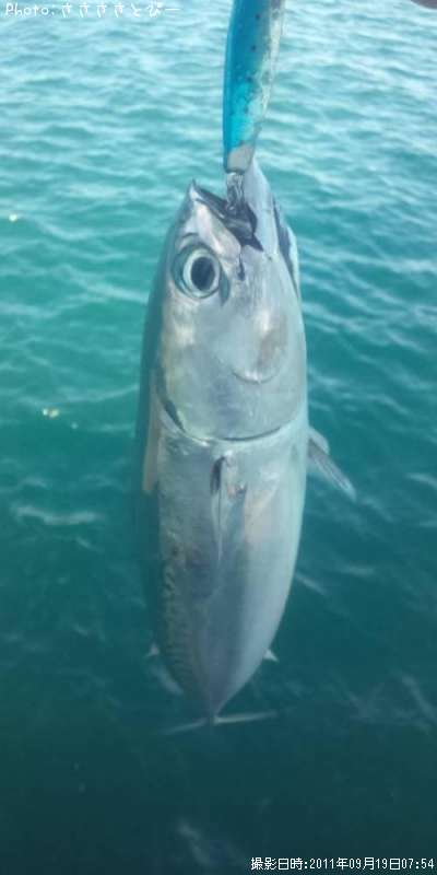 ���������ĥ�