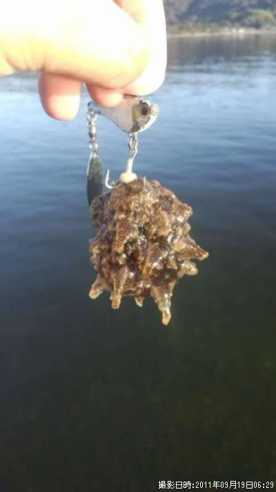 ���ߥ���