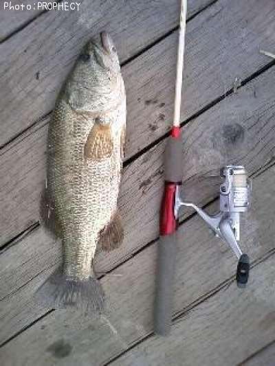 �֥�å��Х�