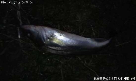 �����Х�