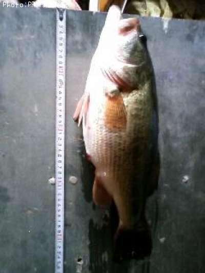 �֥�å��Х�