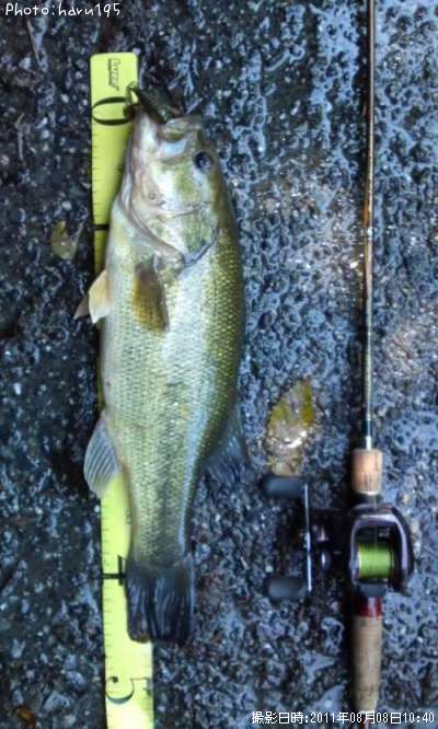 �֥�å��Х�