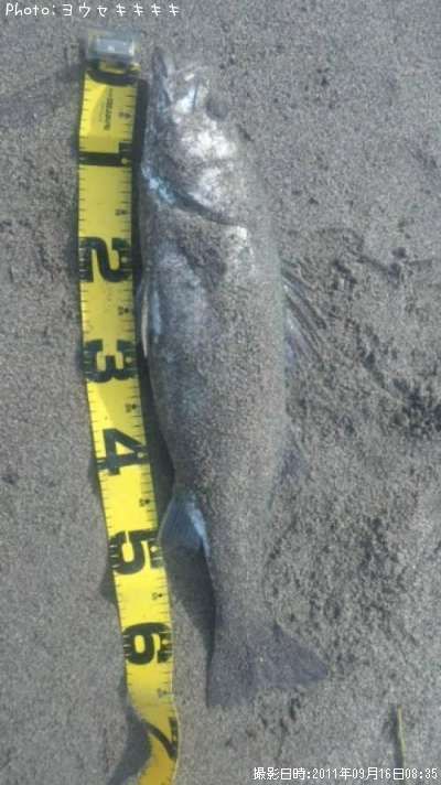 �����Х�