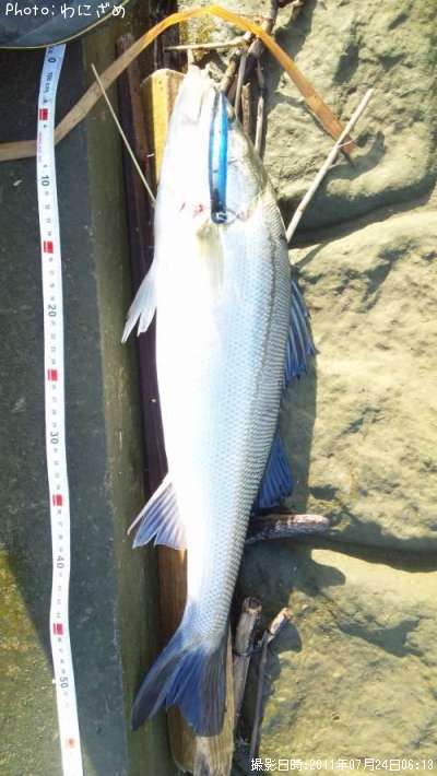 �����Х�