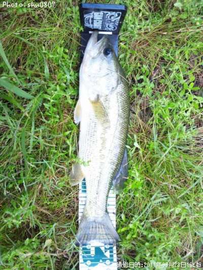 �֥�å��Х�