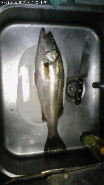 �����Х�