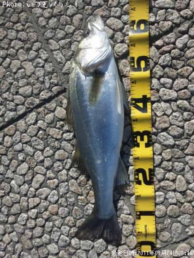 �����Х�