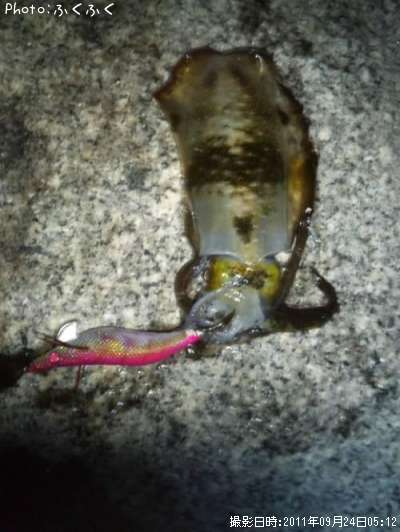 �����ꥤ��