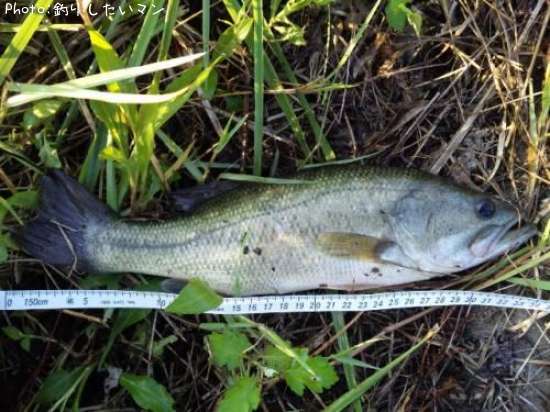 �֥�å��Х�