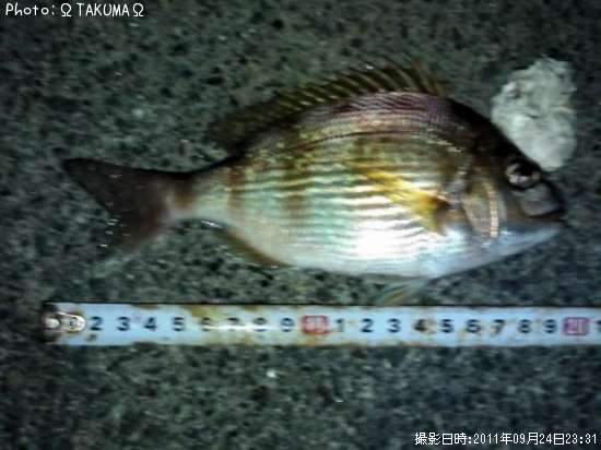 �ϥʥ�������