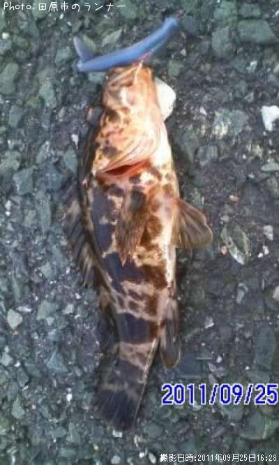 �����Υ���Х�