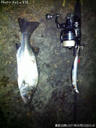 �����Х�