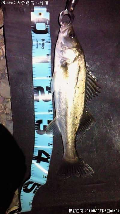 �����Х�