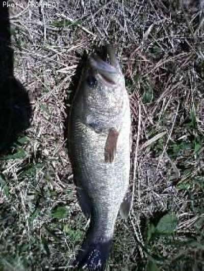 �֥�å��Х�