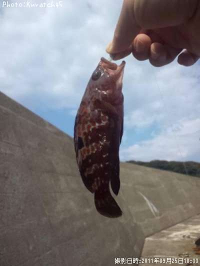 �����ϥ�