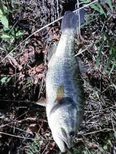 �֥�å��Х�