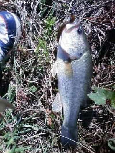 �֥�å��Х�