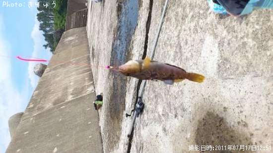 �����ʥ�