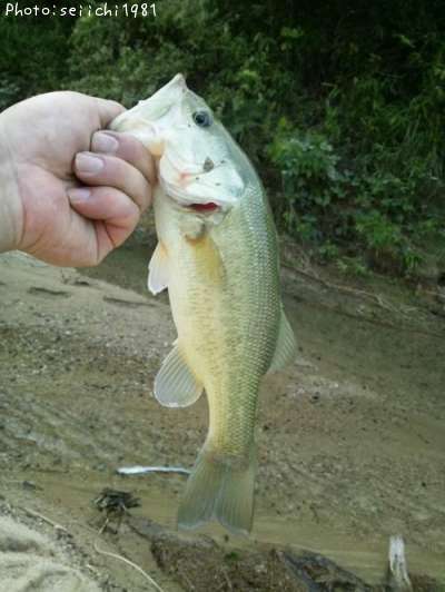 �֥�å��Х�