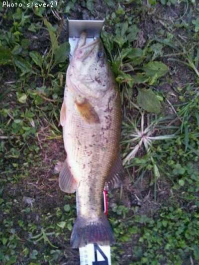 �֥�å��Х�