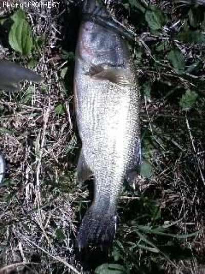 �֥�å��Х�