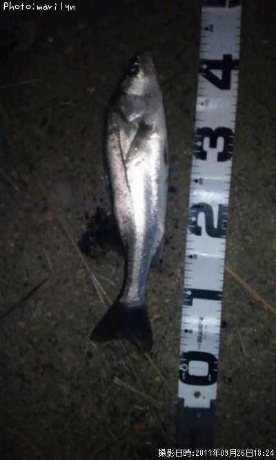 �����Х�