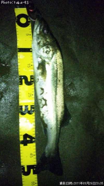 �����Х�