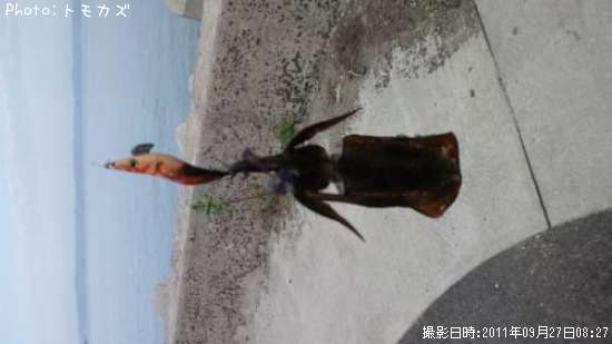 �����ꥤ��