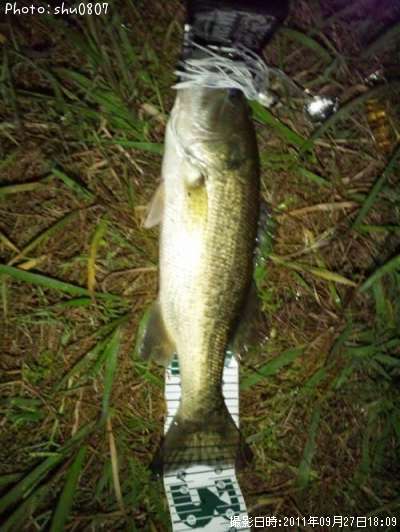 �֥�å��Х�