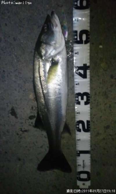 �����Х�