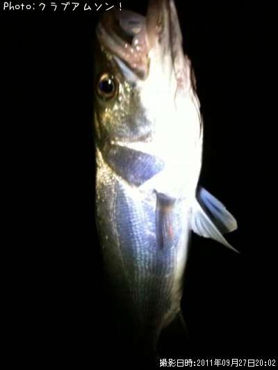 �����Х�