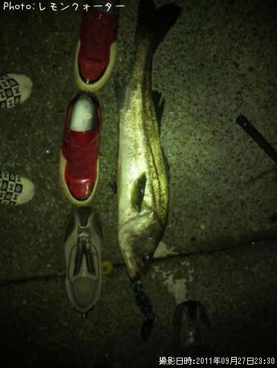 �����Х�