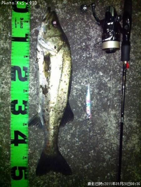 �����Х�