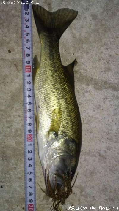 �֥�å��Х�