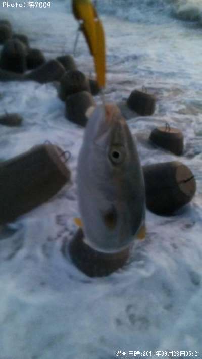 �����å�