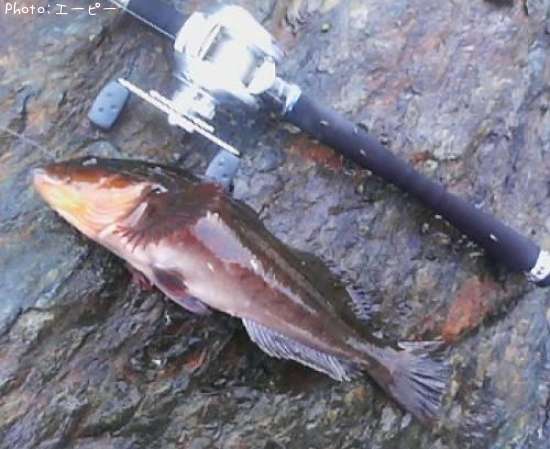 �����ʥ�