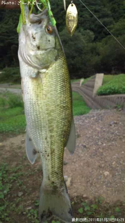 �֥�å��Х�