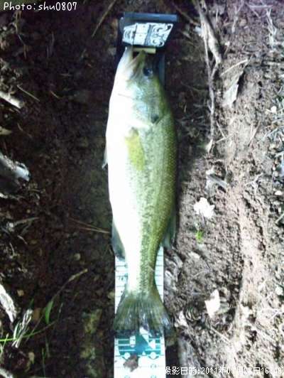 �֥�å��Х�