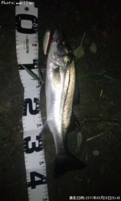 �����Х�