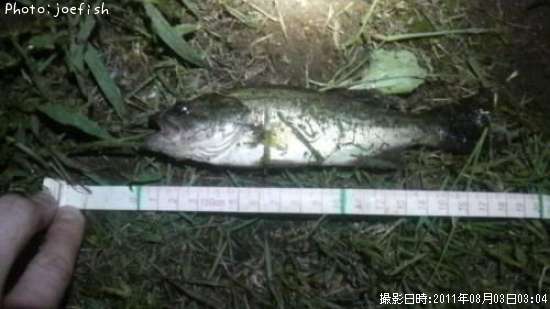 �֥�å��Х�