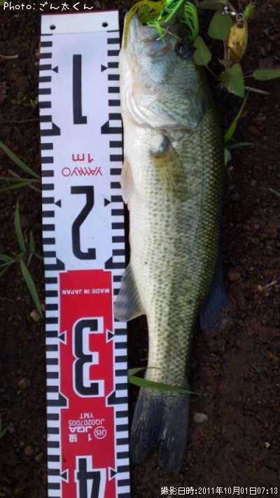 �֥�å��Х�