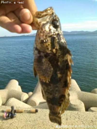 �����Υ���Х�