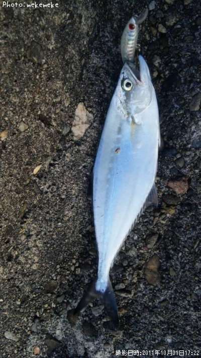 �������ĥ�