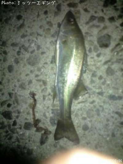 �����Х�