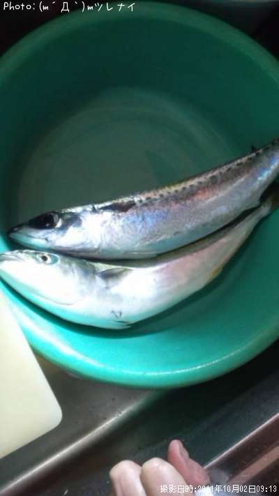 ���ʥ�����