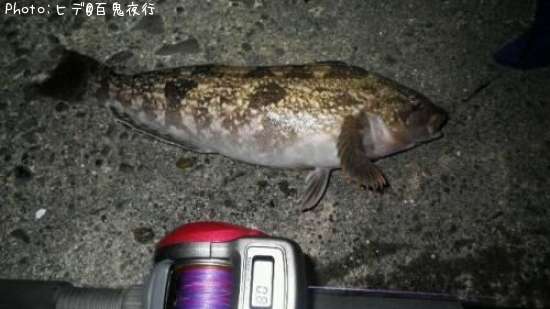 �����ʥ�