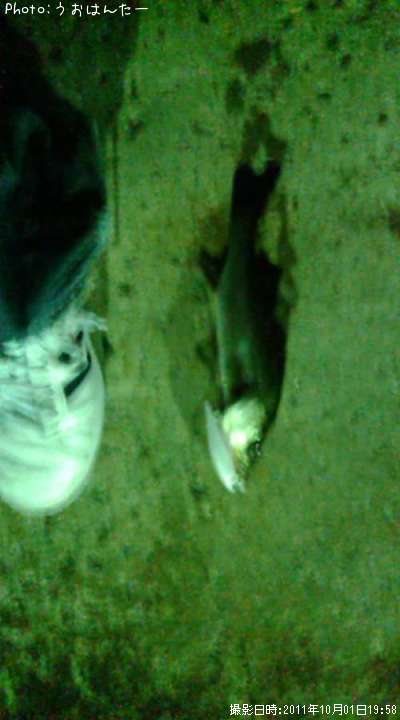 �����Х�